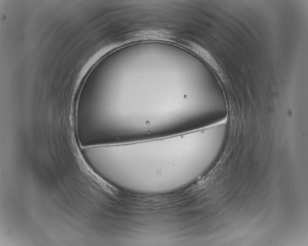 X0000067851339200604130910