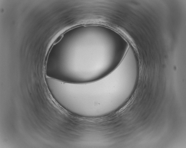X0000067851340200604130910