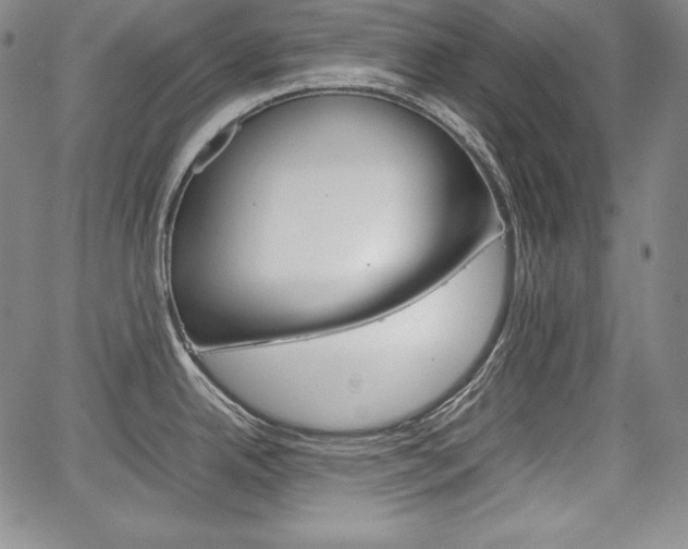 X0000067851342200604130910
