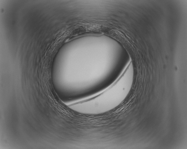 X0000067851345200604130909