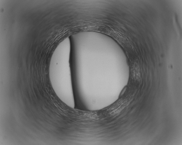X0000067851346200604130909
