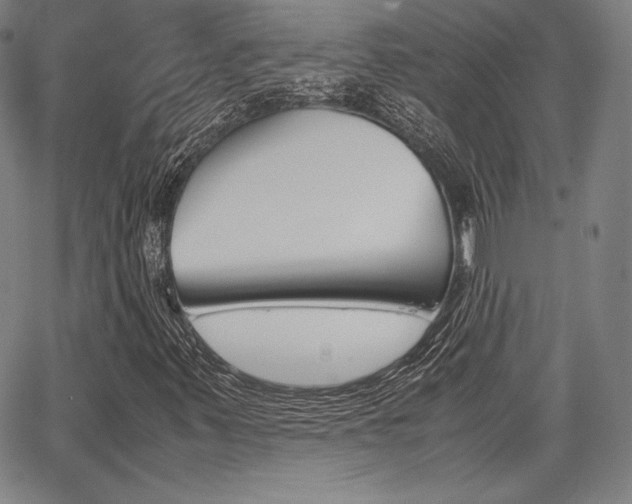 X0000067851347200604130909
