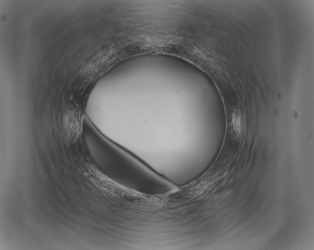 X0000067851348200604130909
