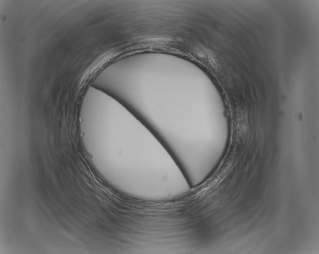 X0000067851354200604130909