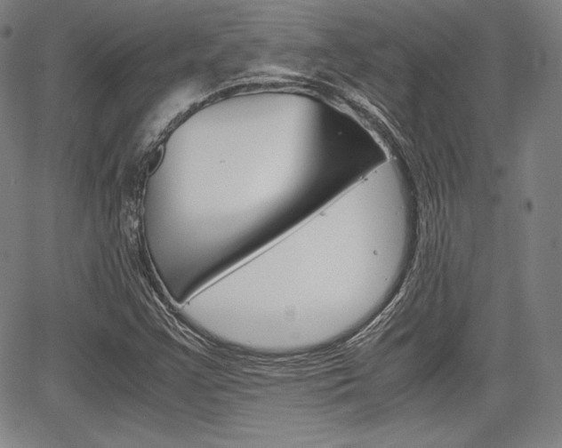 X0000067851355200604130909