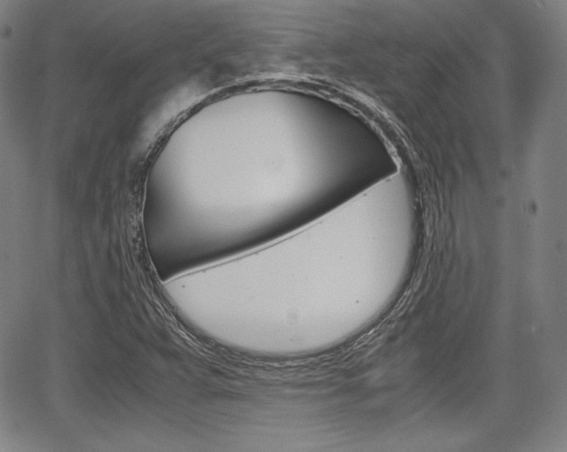 X0000067851359200604130909