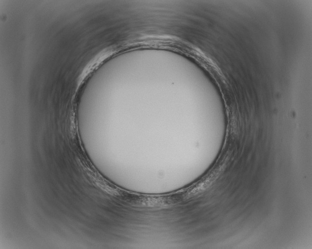 X0000067851362200604130909