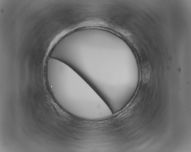 X0000067851366200604130909