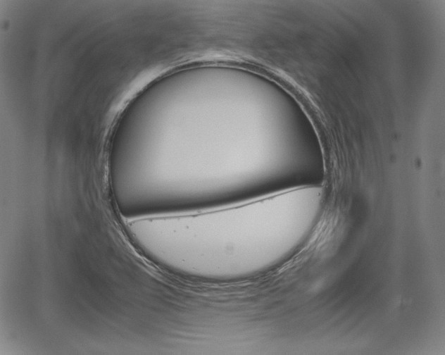 X0000067851367200604130909