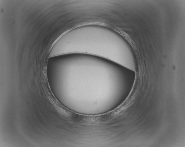 X0000067851369200604130908