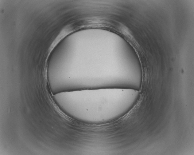 X0000067851370200604130908