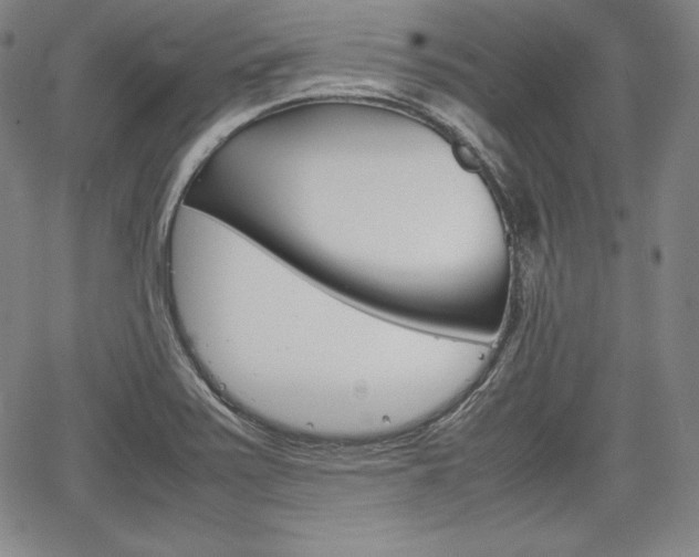 X0000067851371200604130908