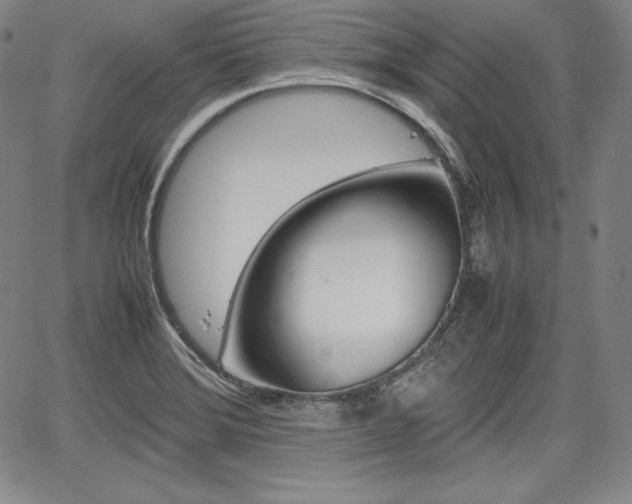 X0000067851372200604130908