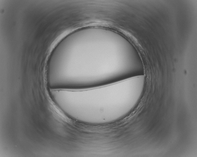 X0000067851375200604130908