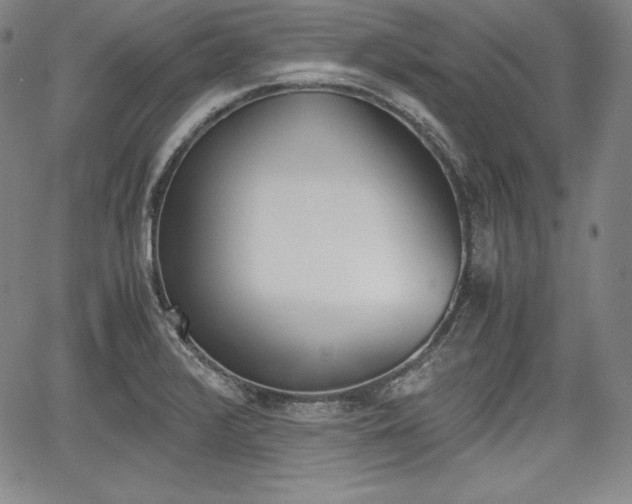 X0000067851376200604130908