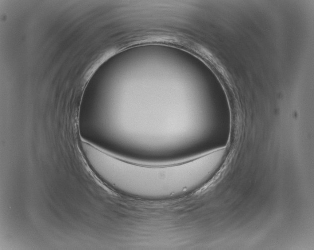 X0000067851377200604130908