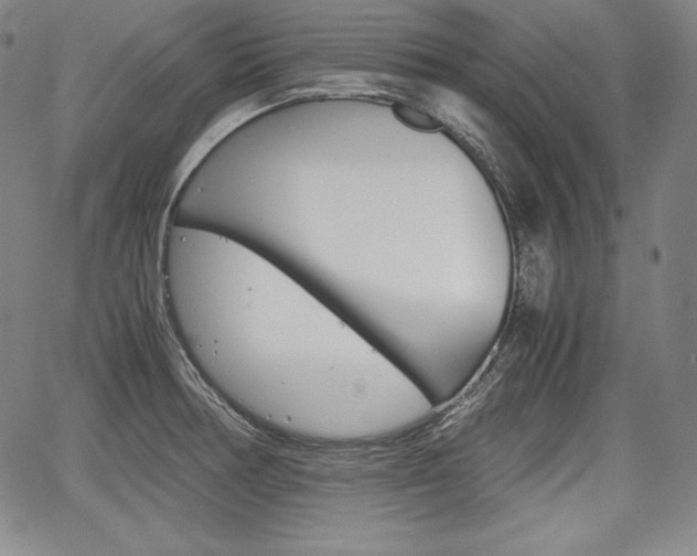X0000067851378200604130908