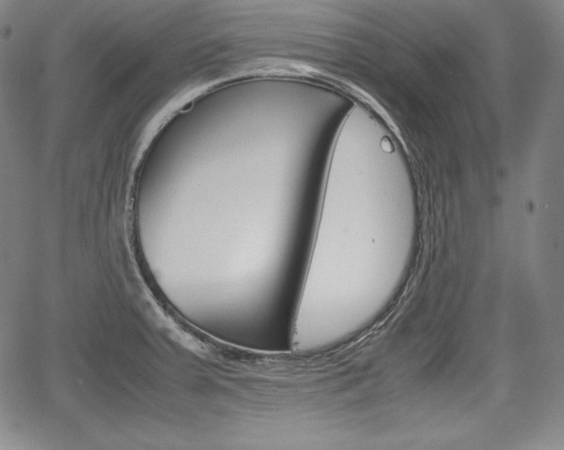 X0000067851379200604130908