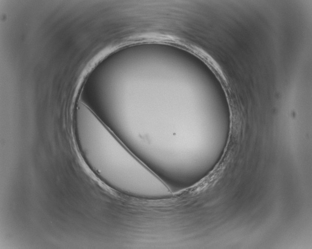 X0000067851381200604130908