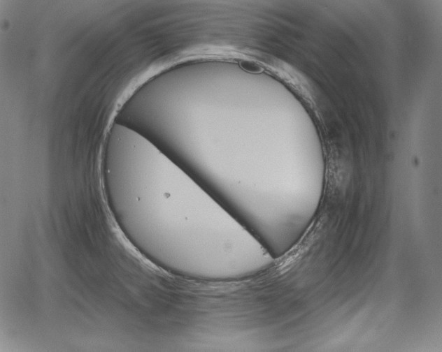 X0000067851382200604130908