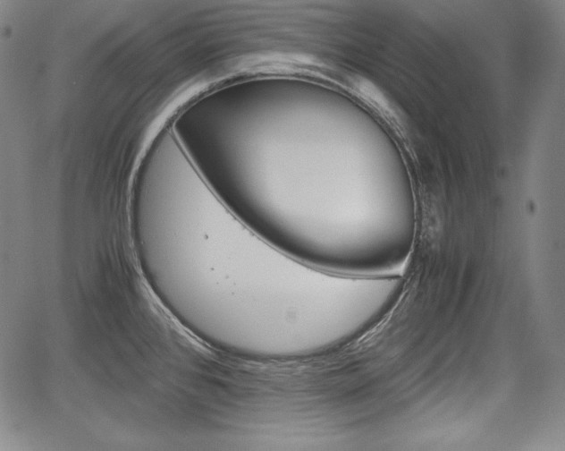 X0000067851384200604130908