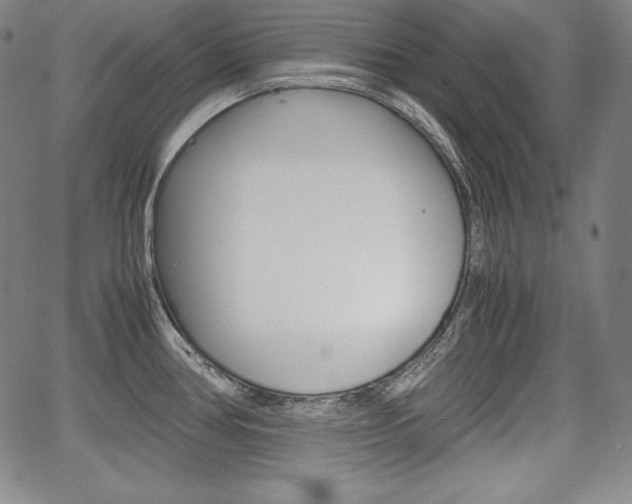 X0000067851386200604130908