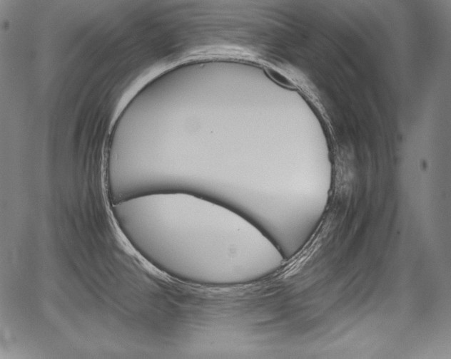 X0000067851390200604130908