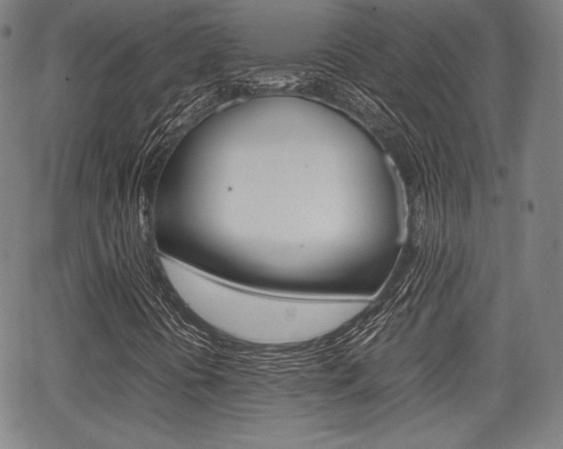 X0000067851394200604130907