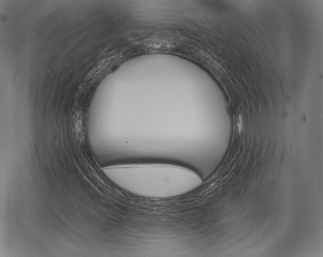 X0000067851396200604130907