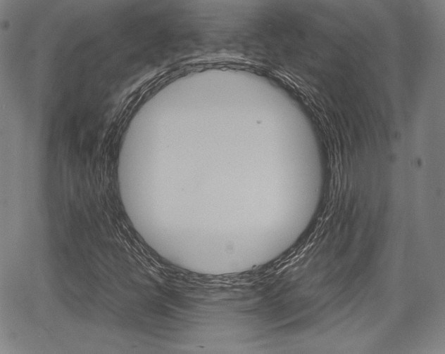 X0000067851398200604130907