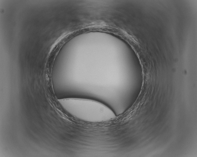 X0000067851400200604130907