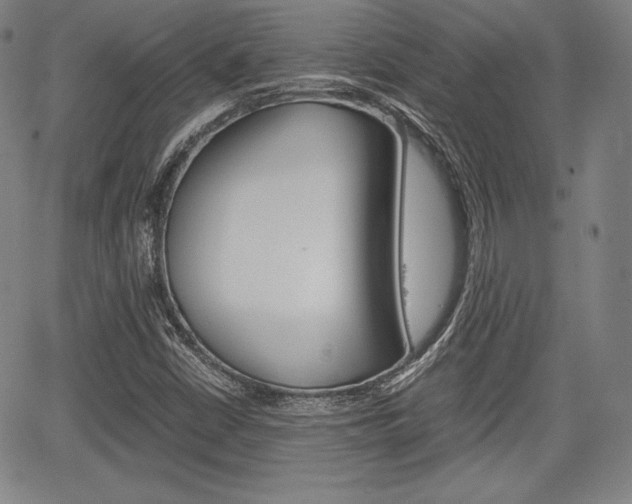 X0000067851402200604130907