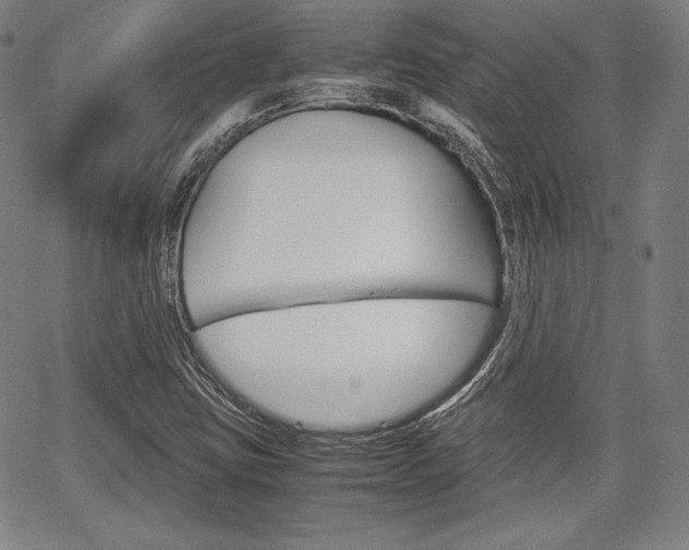 X0000067851403200604130907