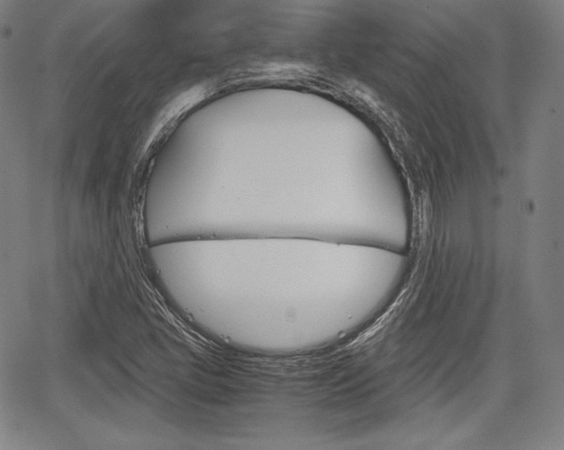 X0000067851405200604130908