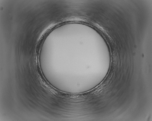 X0000067851408200604130908