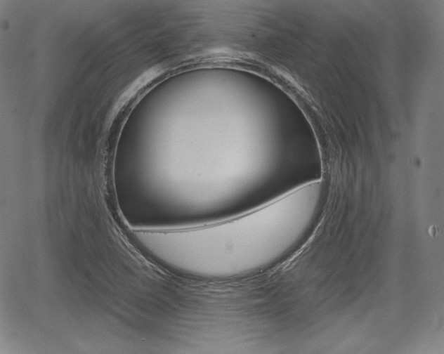 X0000067851410200604130908