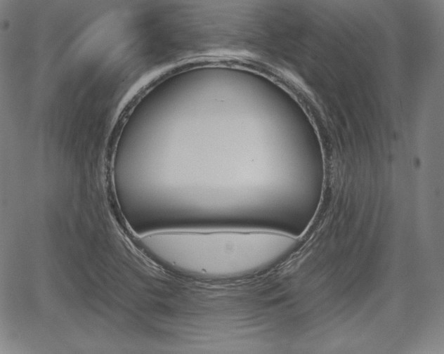 X0000067851412200604130908