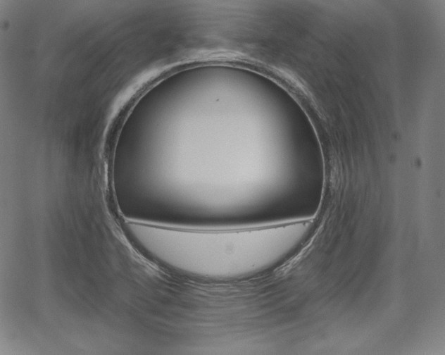 X0000067851414200604130908