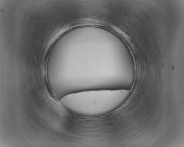 X0000067851415200604130908