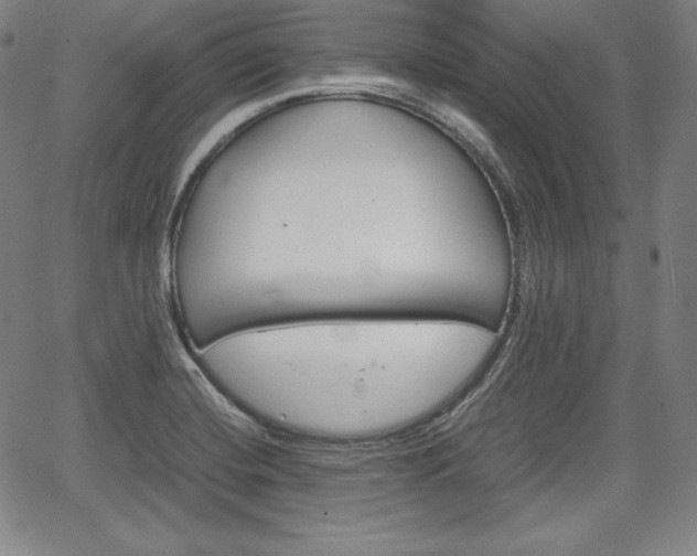X0000067851420200604130908