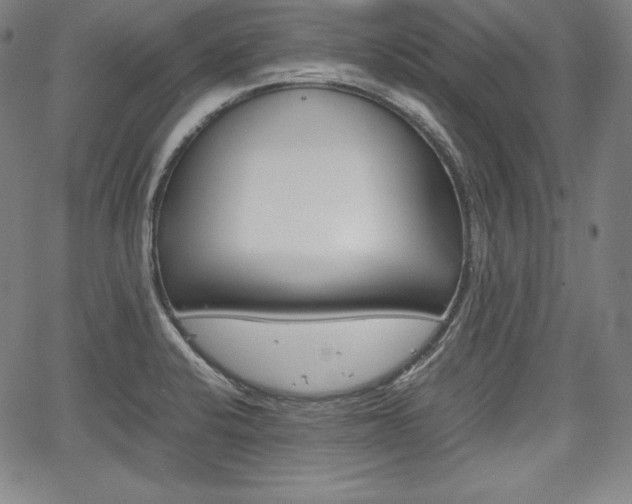 X0000067851424200604130908