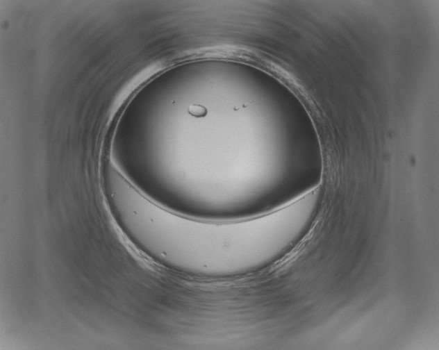 X0000067851426200604130908