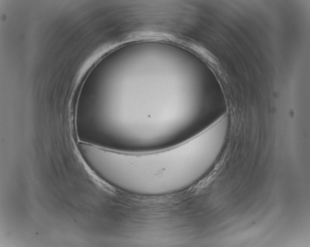 X0000067851430200604130908