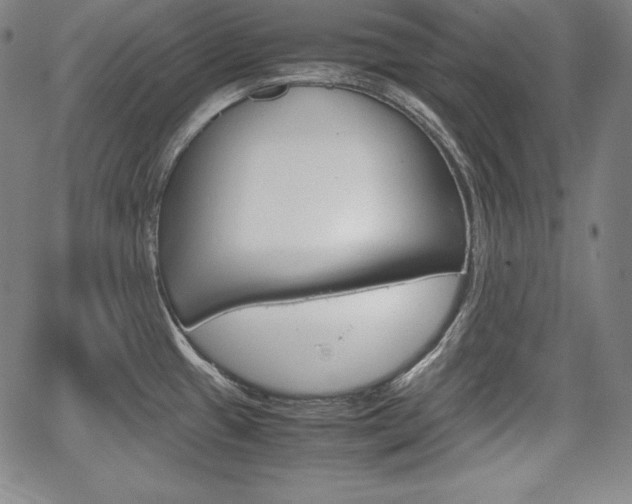 X0000067851433200604130908