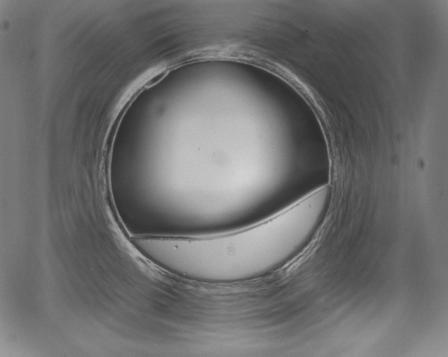 X0000067851434200604130908