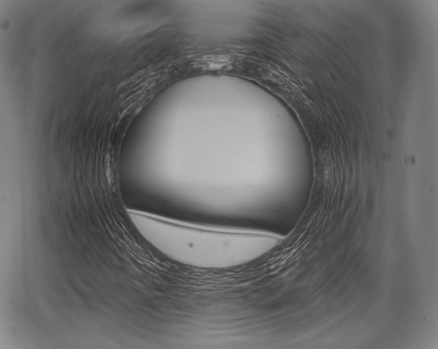 X0000067851442200604130907