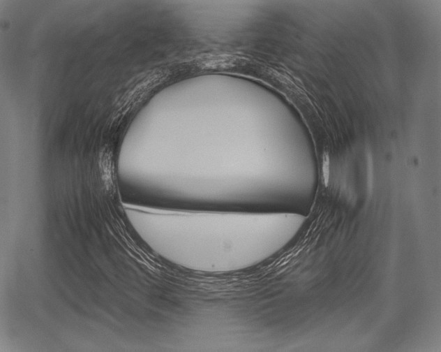 X0000067851444200604130907