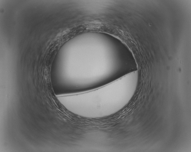X0000067851445200604130907