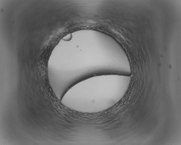 X0000067851447200604130907