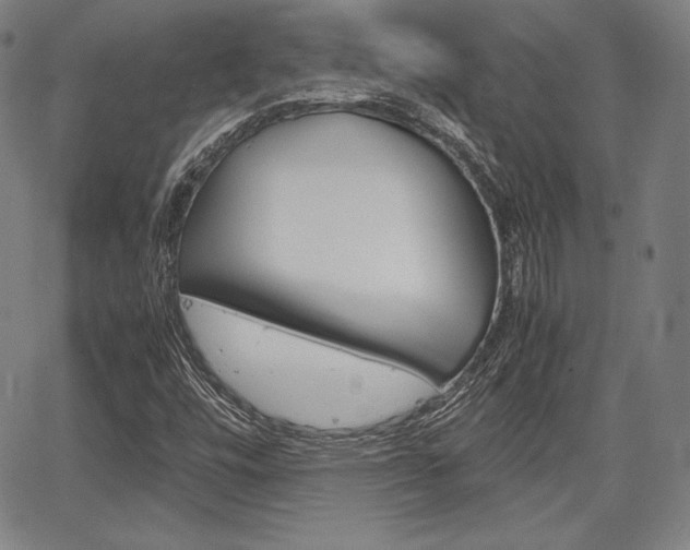 X0000067851448200604130907